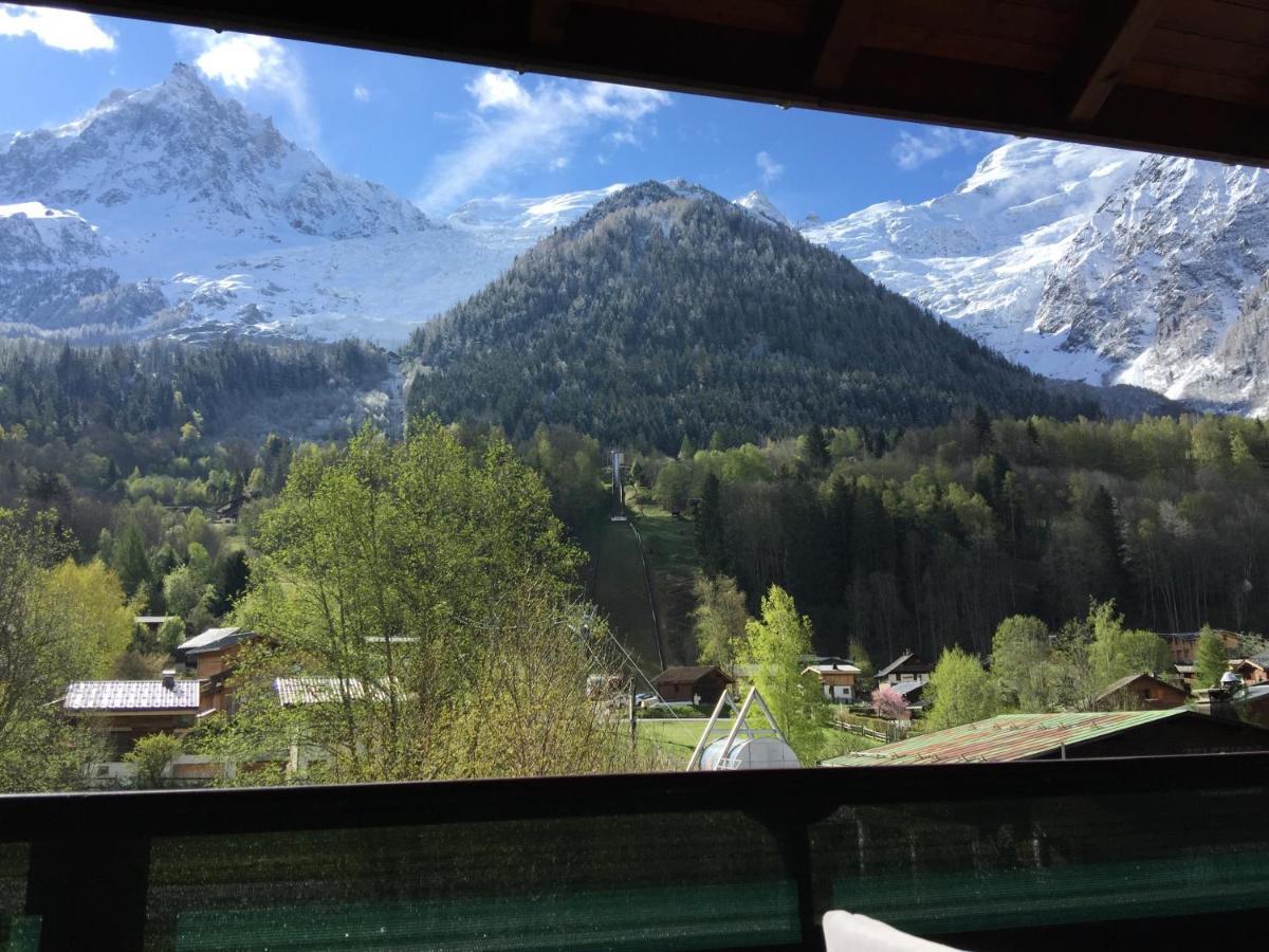 Appartement Face Au Mont Blanc & Glaciers Chamonix Dış mekan fotoğraf