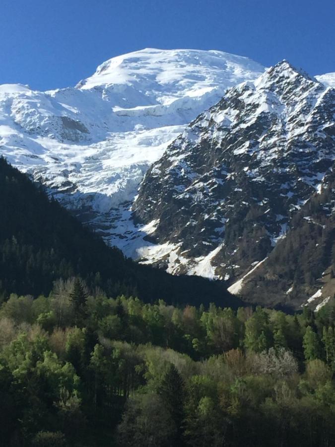 Appartement Face Au Mont Blanc & Glaciers Chamonix Dış mekan fotoğraf