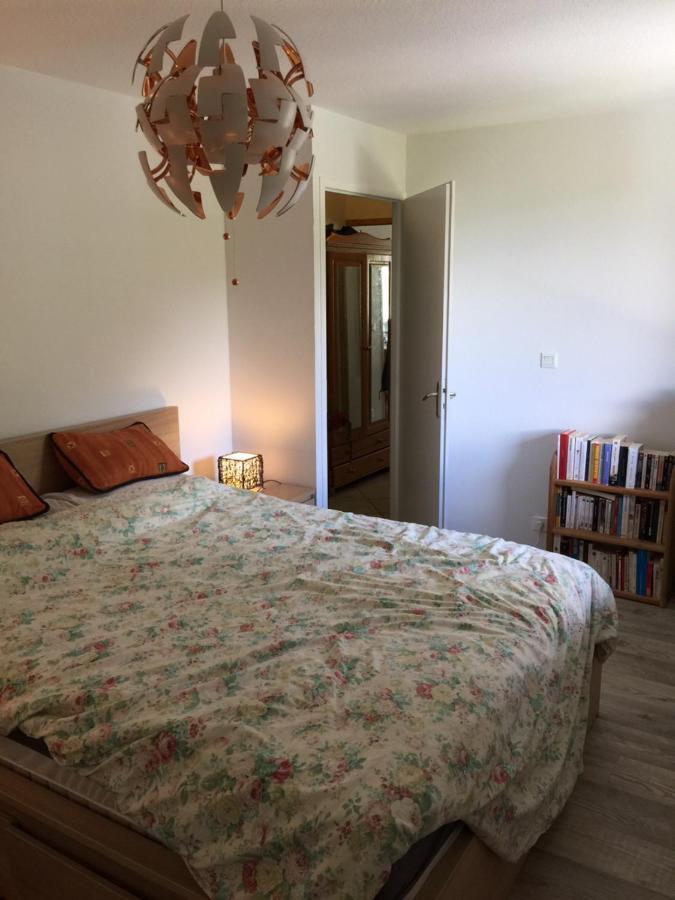 Appartement Face Au Mont Blanc & Glaciers Chamonix Dış mekan fotoğraf